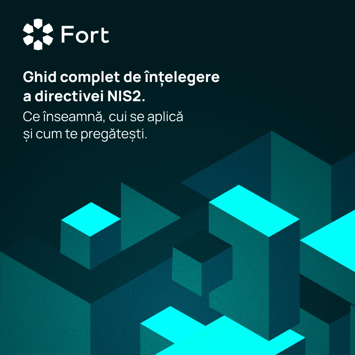 Postare despre înțelegerea directivei NIS2 privind securitatea cibernetică și pregătirea pentru conformare