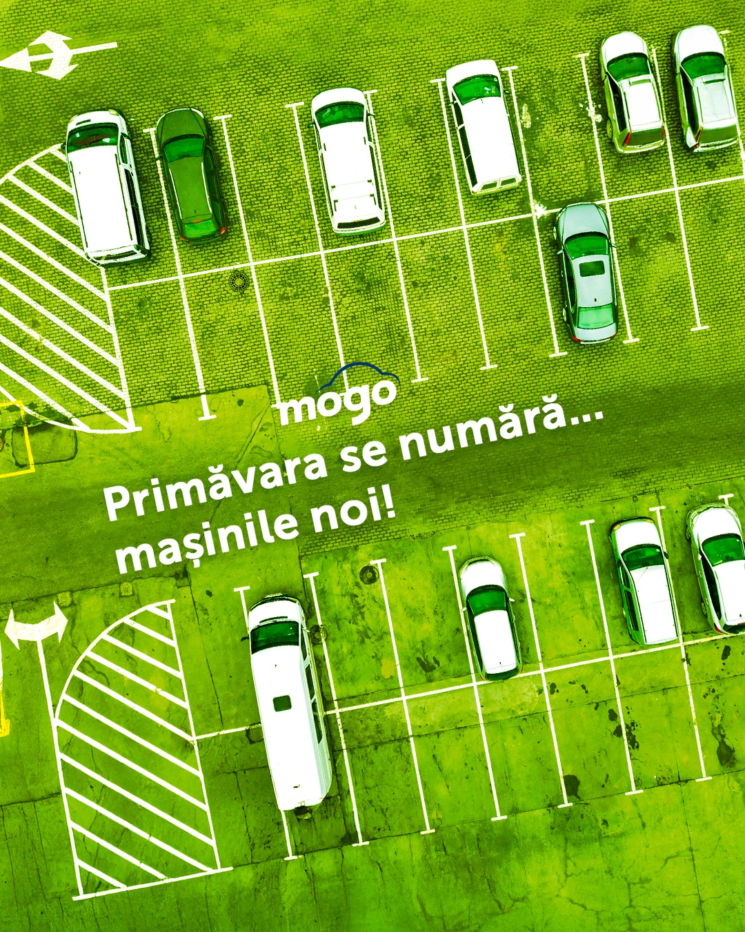 Postare pe rețelele sociale care promovează mașini noi pentru primăvară